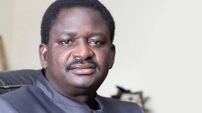 Femi Adesina